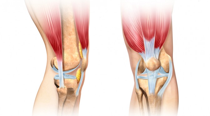 Une nouvelle technique pour traiter les lésions ostéochondrales du genou