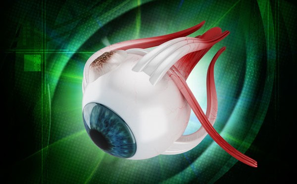 Scheelzien, bijziendheid, keratoconus, endotheliale transplantatie, …: de “Basiliek Eye Clinic” bespreekt de nieuwe technieken