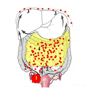 chirec22062016Fig2