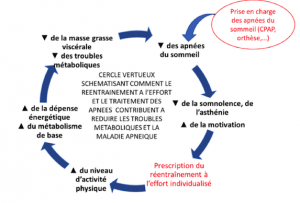 Fig2