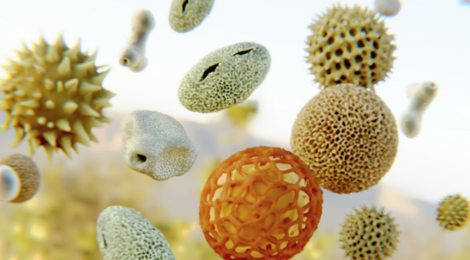 Covid-19 en pollen: is er een verband?