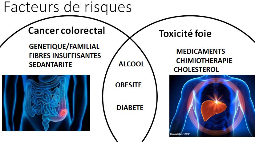 Cancer colorectal: la chimiothérapie sous la loupe grâce au ...